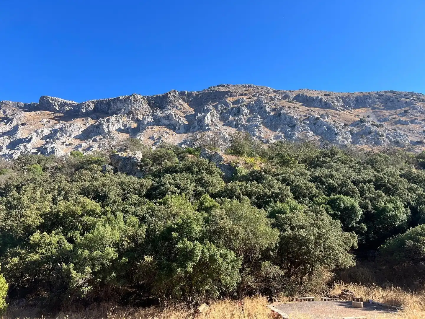 Vista exterior de Finca rústica en venda en Antequera