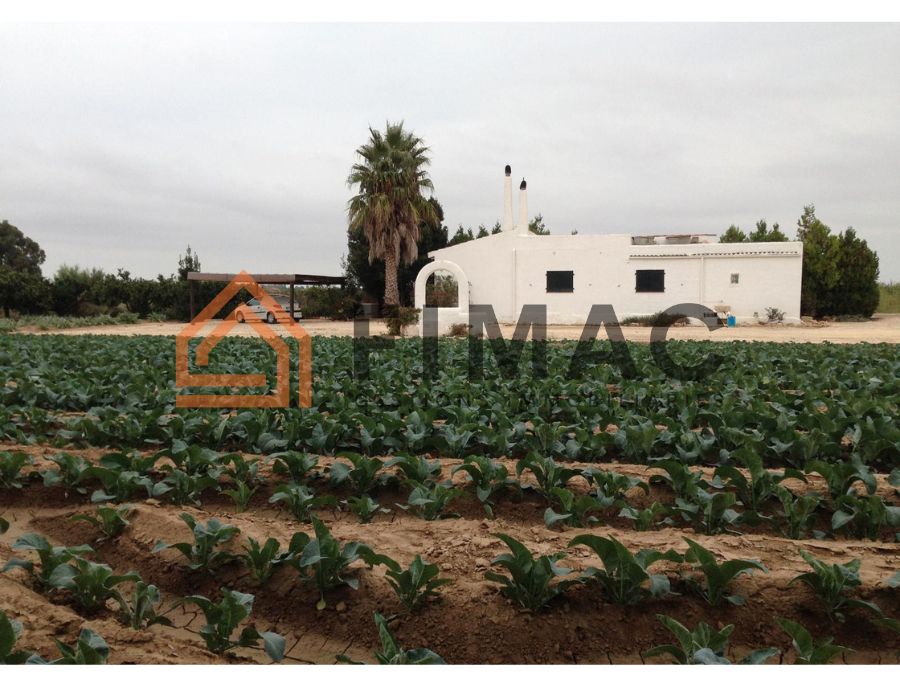 Land for sale in Amposta