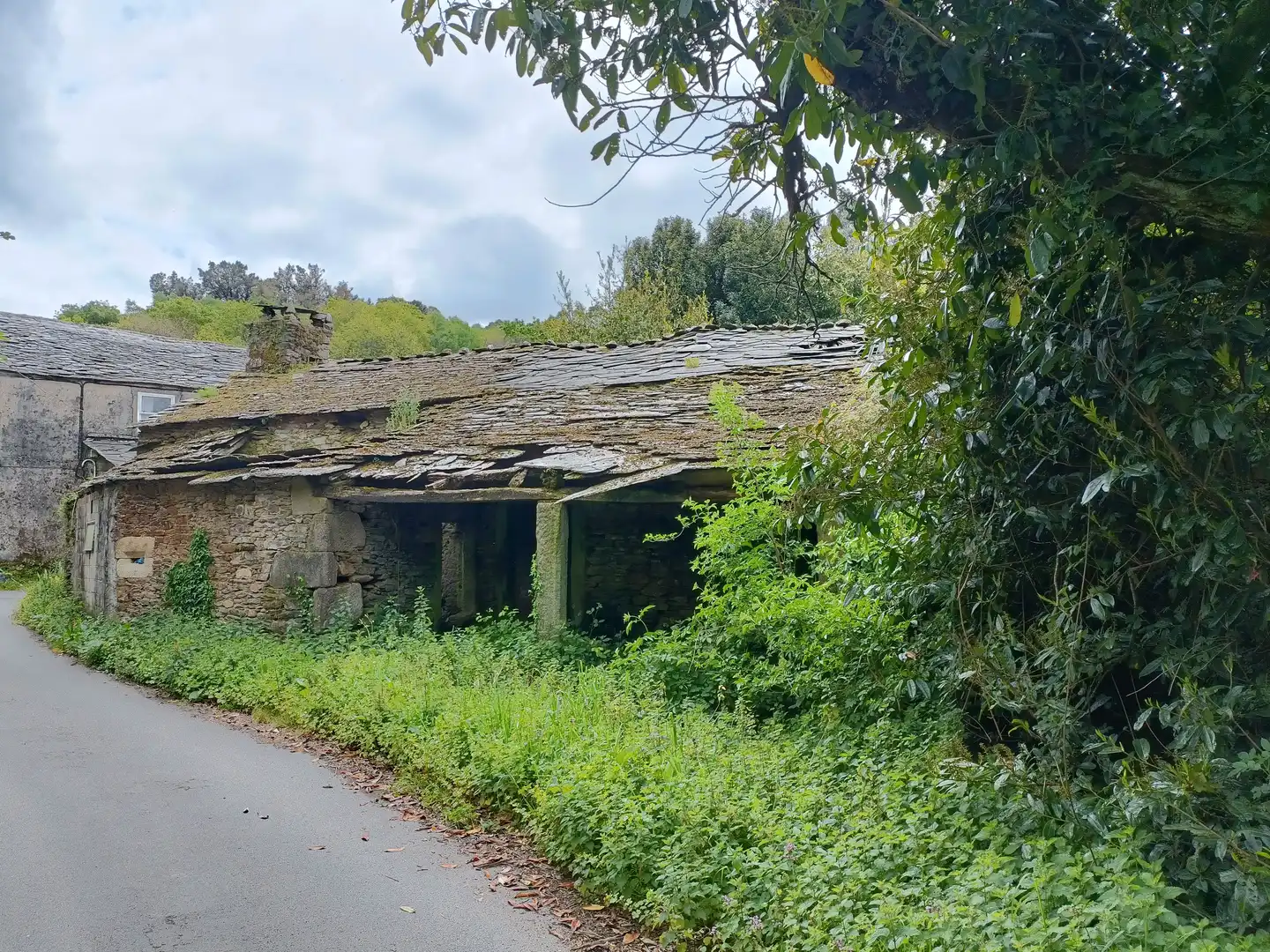 Vista exterior de Casa o xalet en venda en Aranga amb Jardí privat i Traster