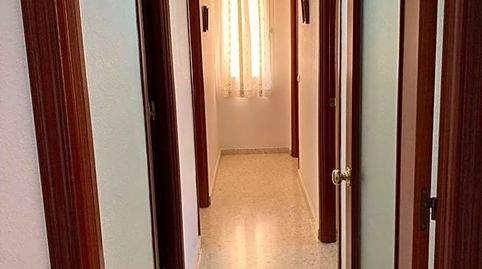 Foto 4 de Piso de alquiler en Andrés Bernáldez, El Tejar - Hacienda Bizcochero, Málaga Capital
