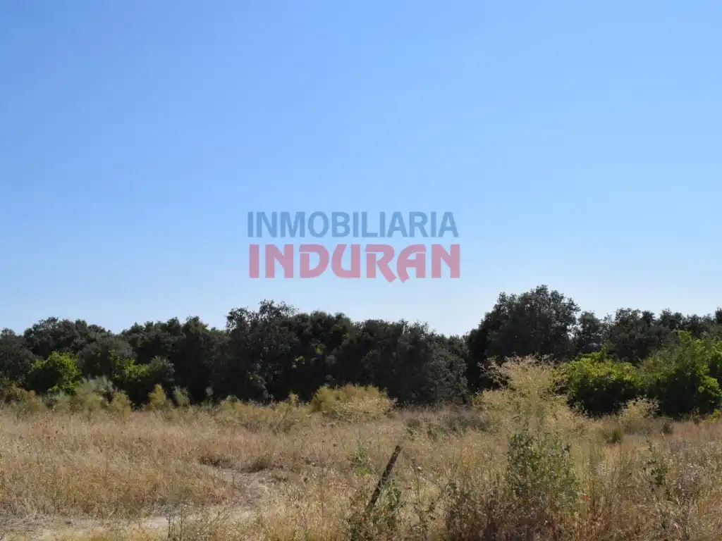 Haus zum Verkauf in Peraleda de la Mata, imagen 4