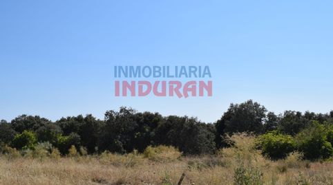 Foto 4 de Casa o chalet en venta en Peraleda de la Mata, Cáceres