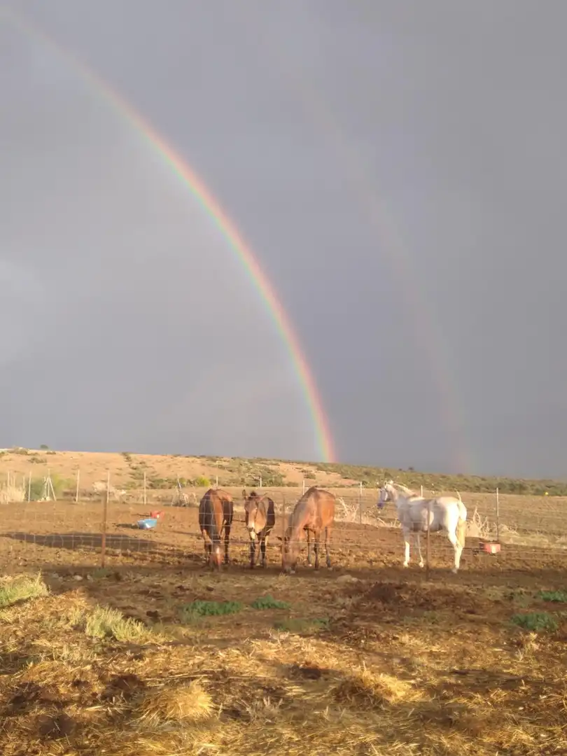 Terreno en venta en Polígono Industrial Estanquillo, Burguillos