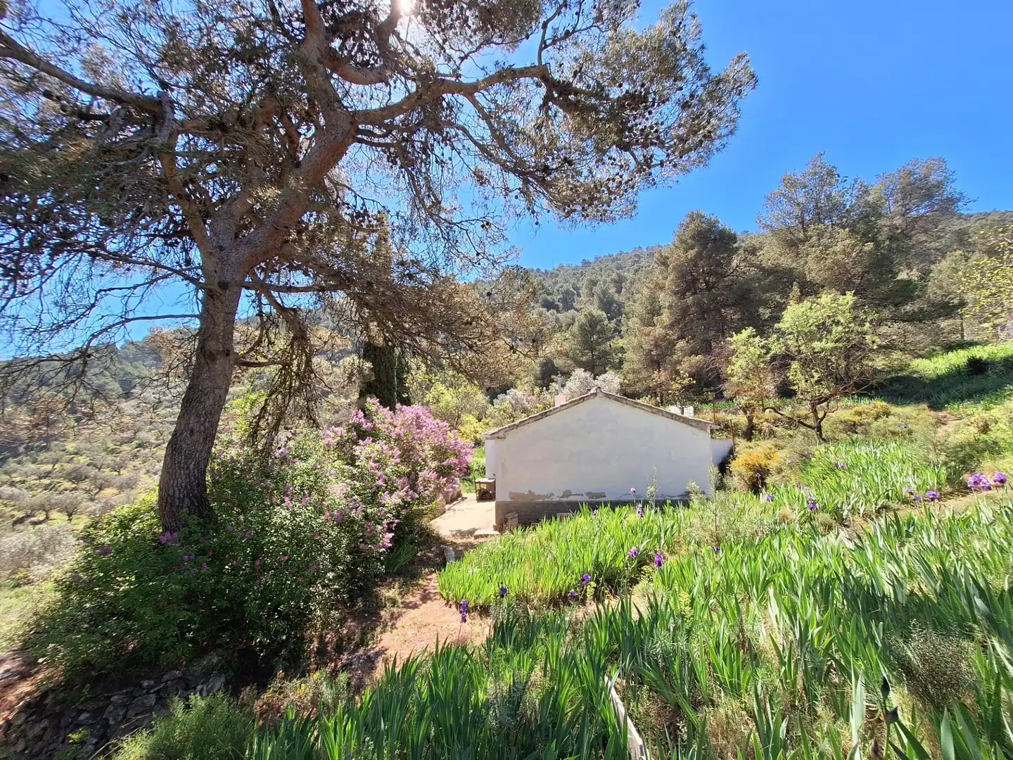 Jardí de Finca rústica en venda en Alcoy / Alcoi amb Traster i Moblat