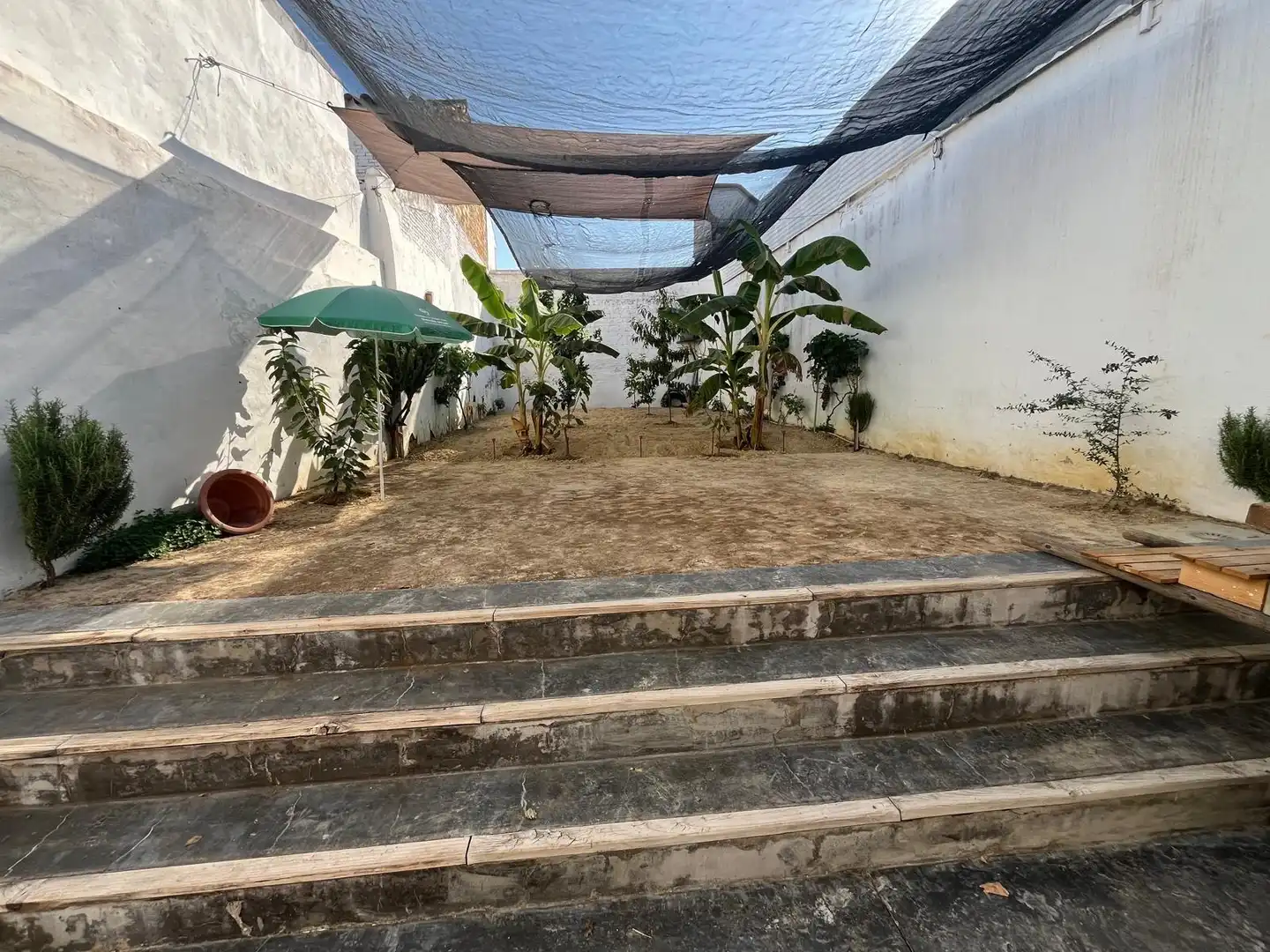 Houses for sale in Carrión de los Céspedes