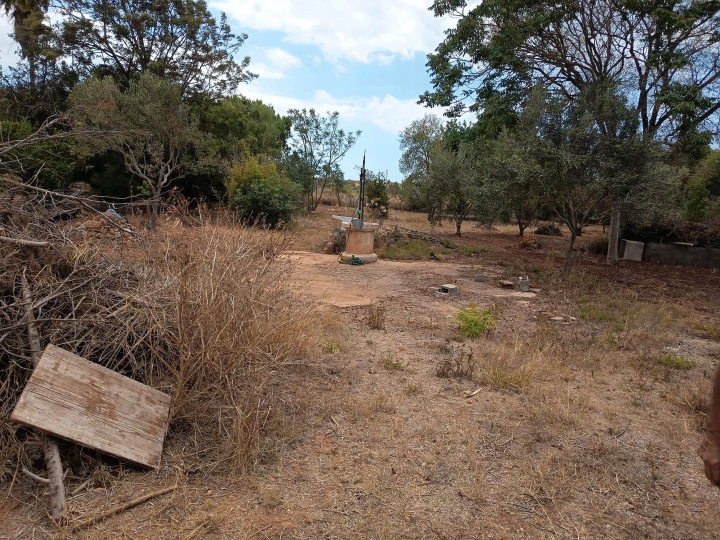 Finca rústica en venda en  Palma de Mallorca amb Jardí privat i Terrassa