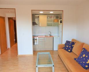 Kitchen of Apartment for sale in Mont-roig del Camp  with Terrace, Furnished and Oven