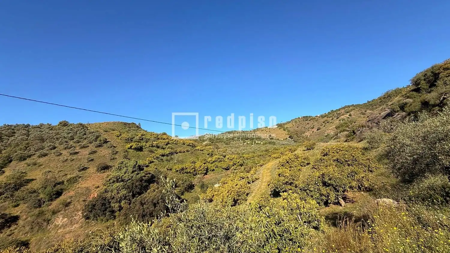 Casa con jardín en venta en Diseminados, imagen 41