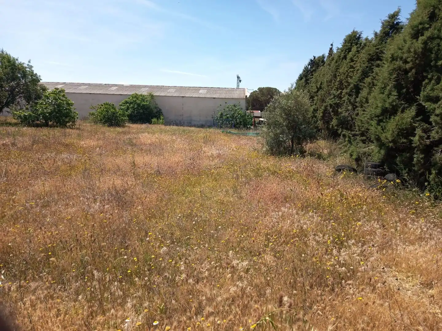 Terreny industrial en venda en El Viso de San Juan