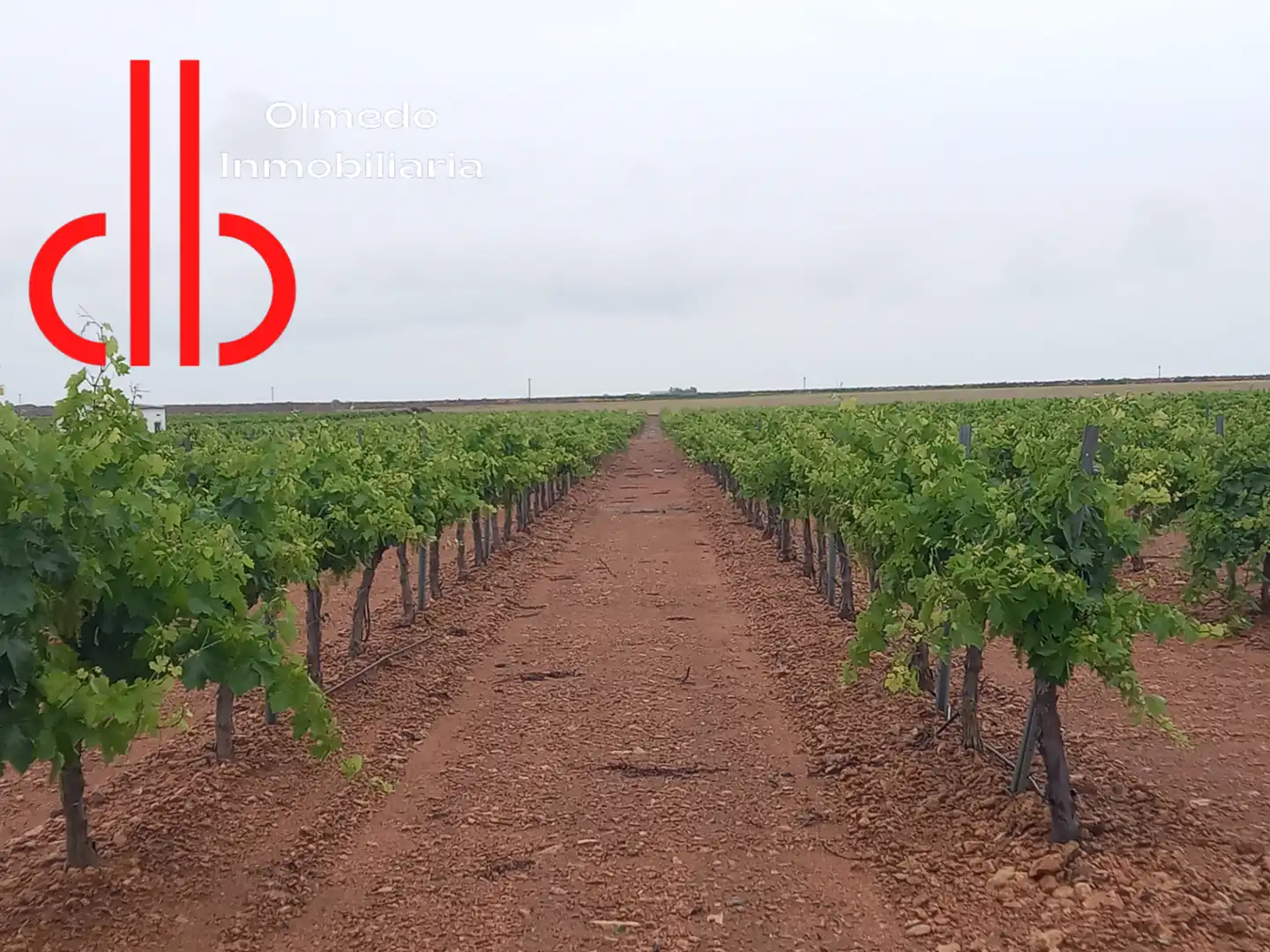 Rustikales Grundstück zum Verkauf in Pedro Muñoz, imagen 9