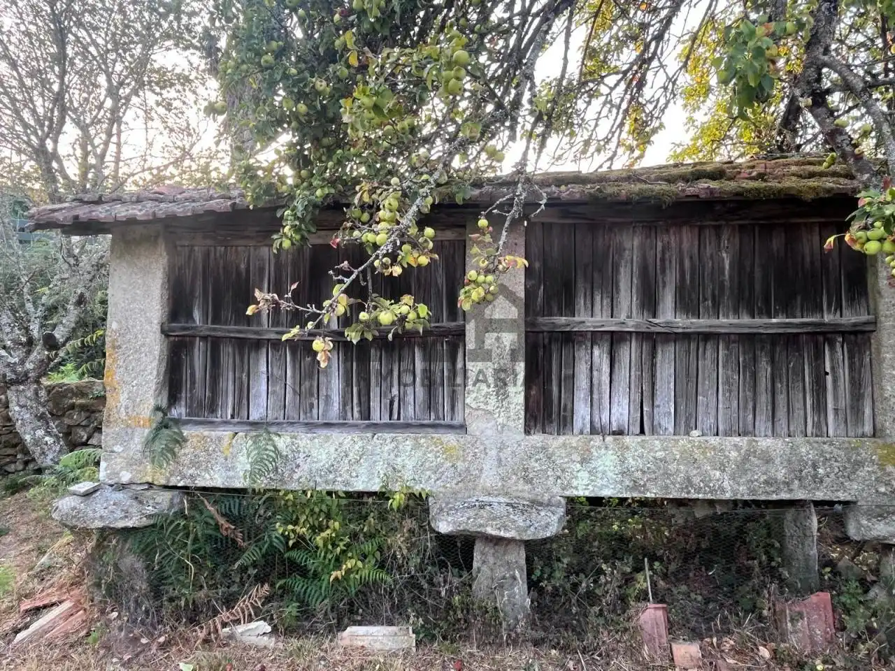Vista exterior de Casa o chalet en venta en Lobios con Calefacción y Jardín privado