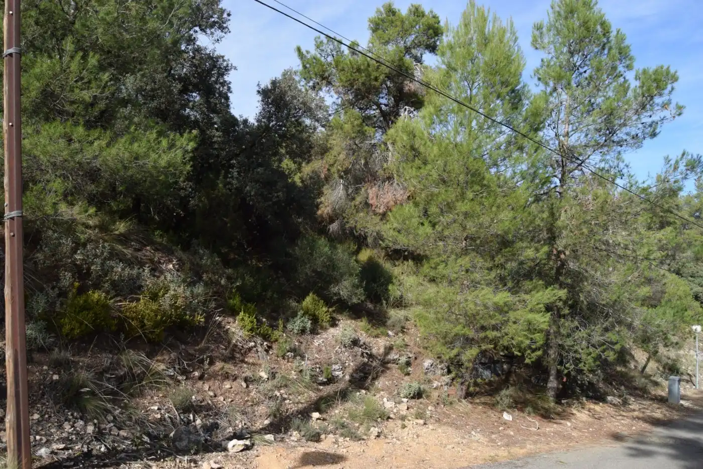 Lands and plots for sale in Calle NUEVA SIERRA BM, imagen 4