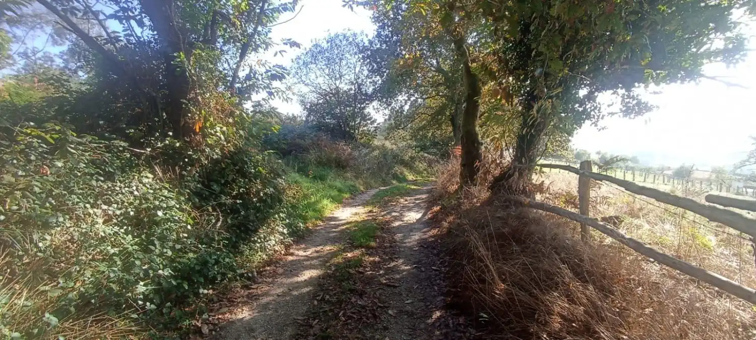 Vista exterior de Finca rústica en venta en Nava