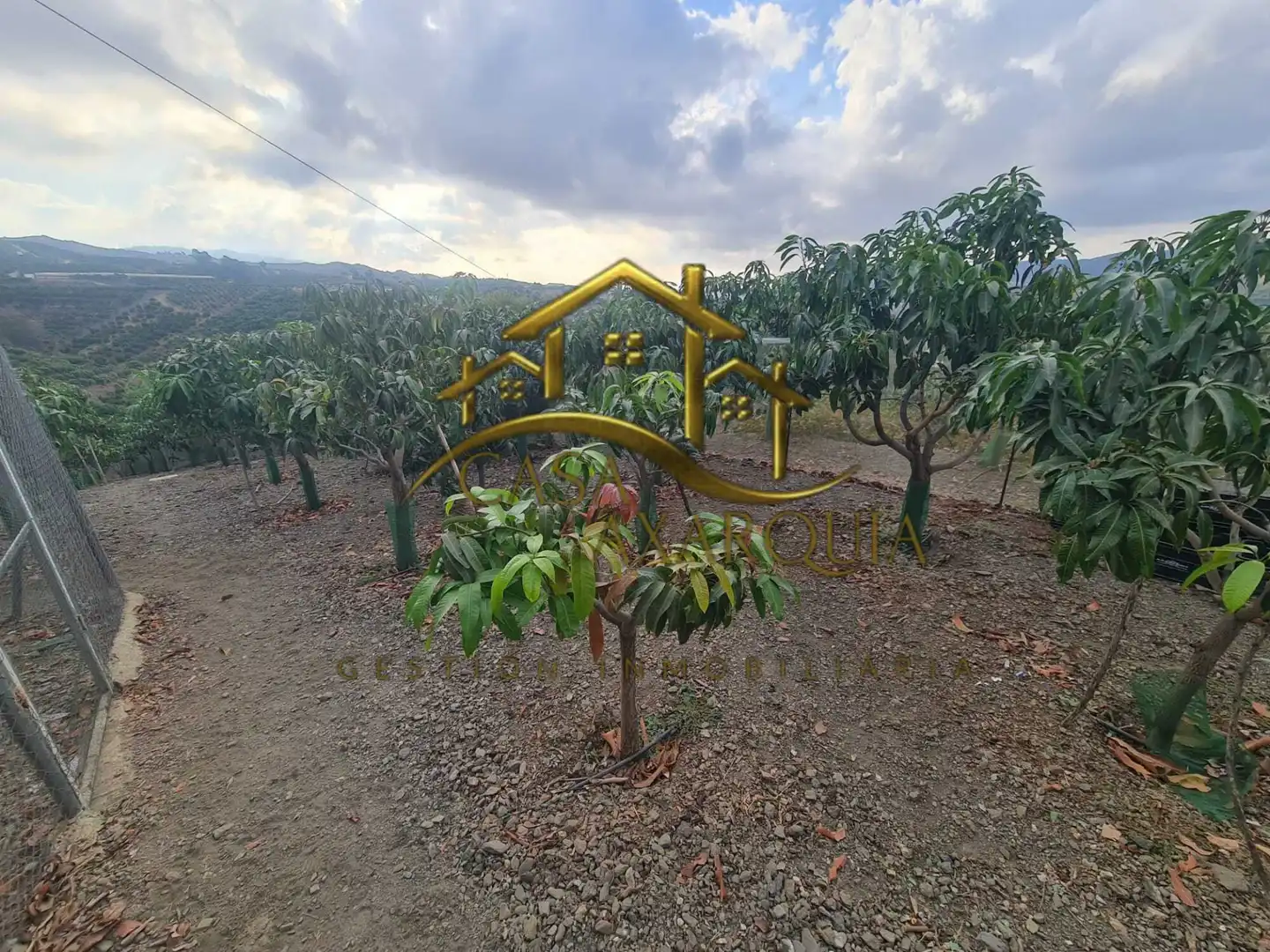 Finca rústica en venda en Vélez-Málaga amb Jardí privat, Terrassa i Piscina