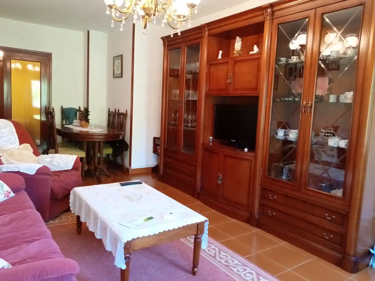 Living room of Flat for sale in Valladolid  with Heating, Parquet flooring and Terrace