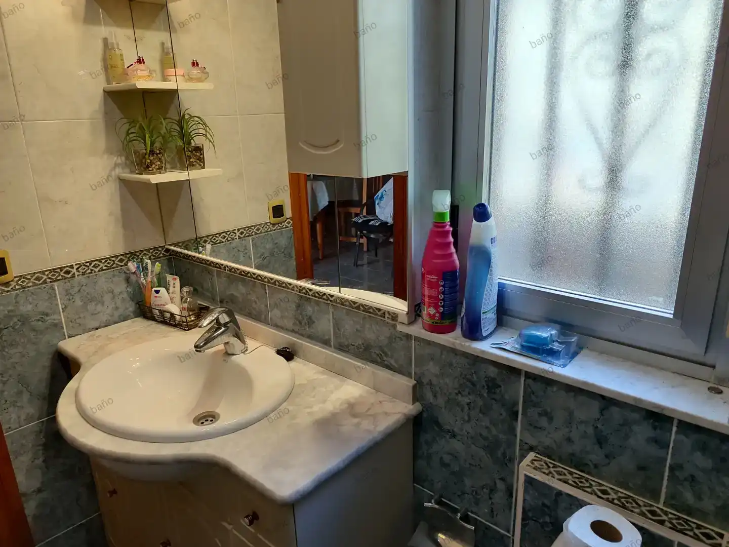 Baño de Casa o chalet en venta en Calvarrasa de Abajo