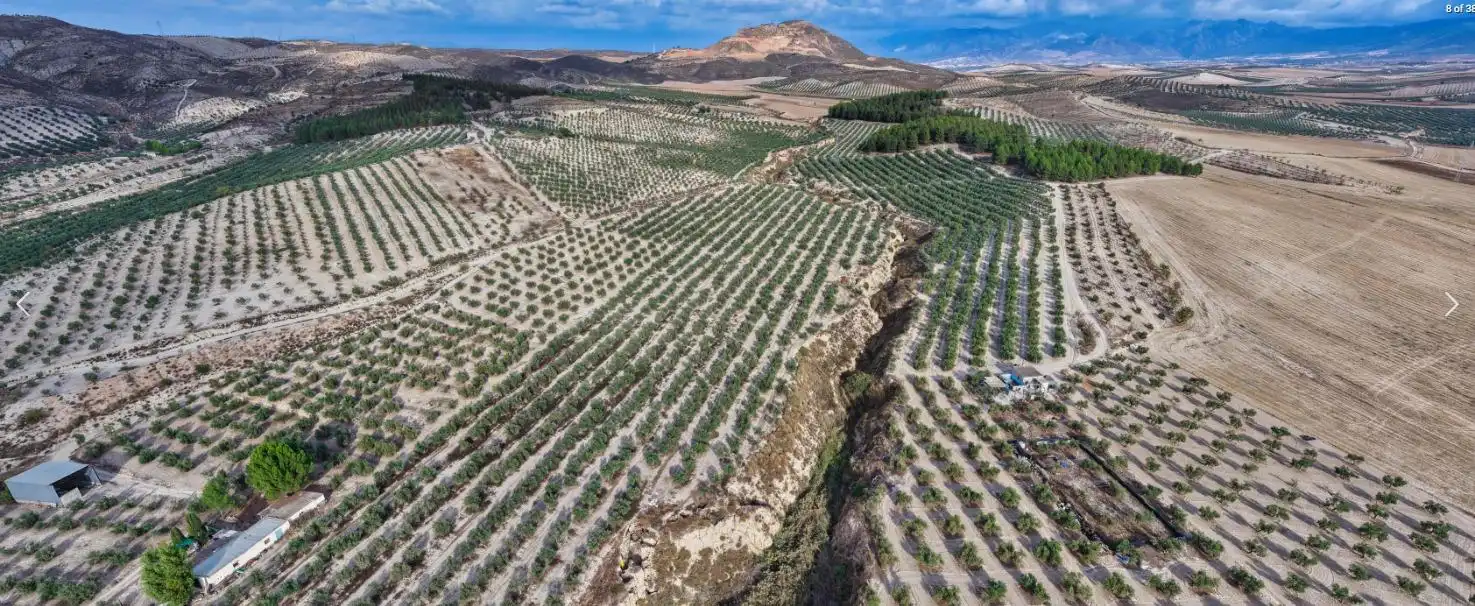 Finca rústica en venta en La Malahá