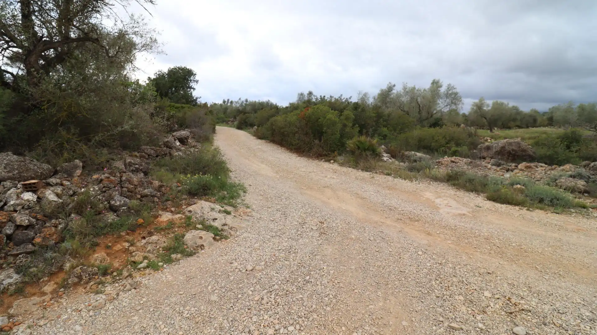 Terreny rústic en venda a Ulldecona, imagen 8