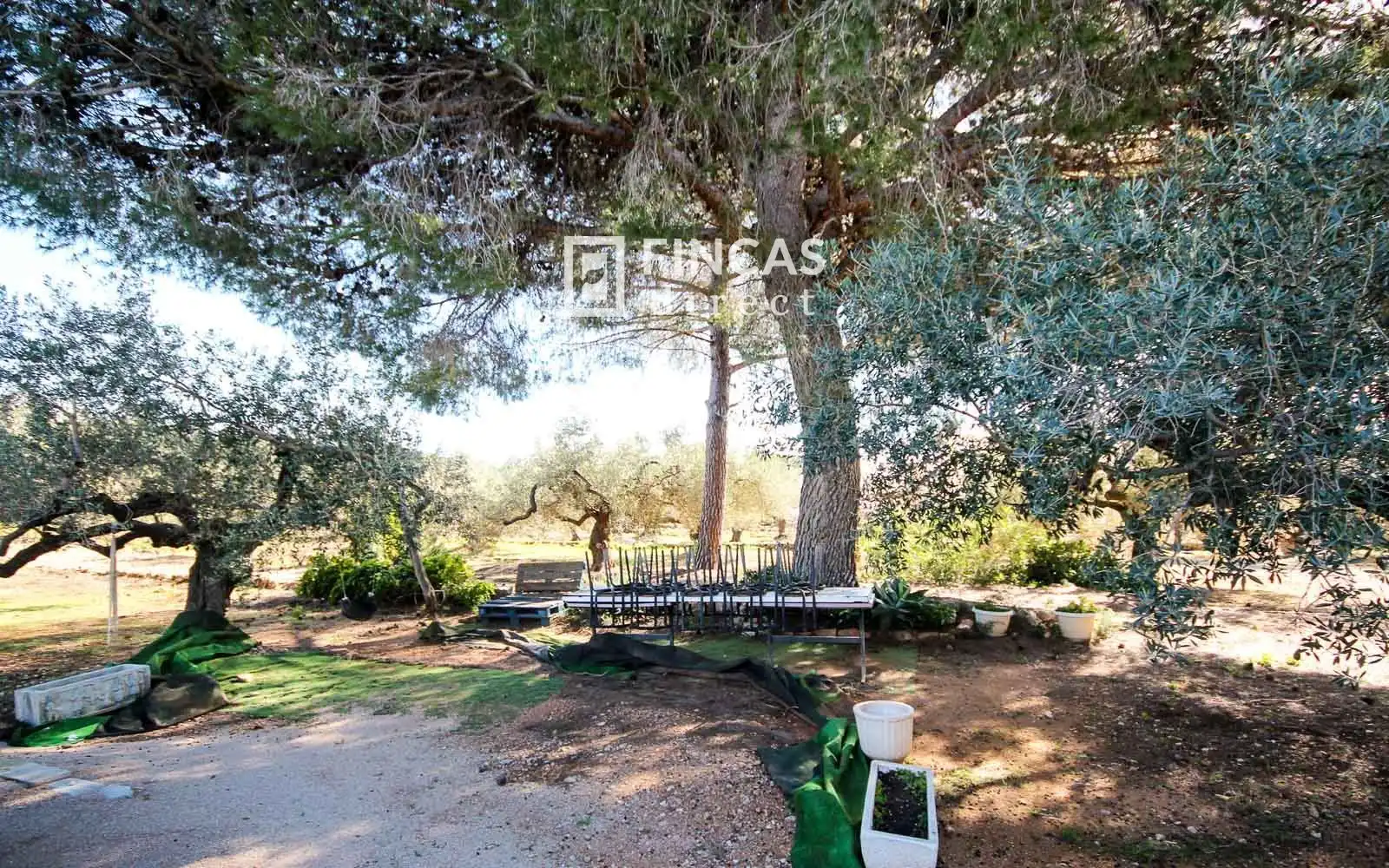 Finca rústica en venda en Camarles amb Terrassa i Moblat