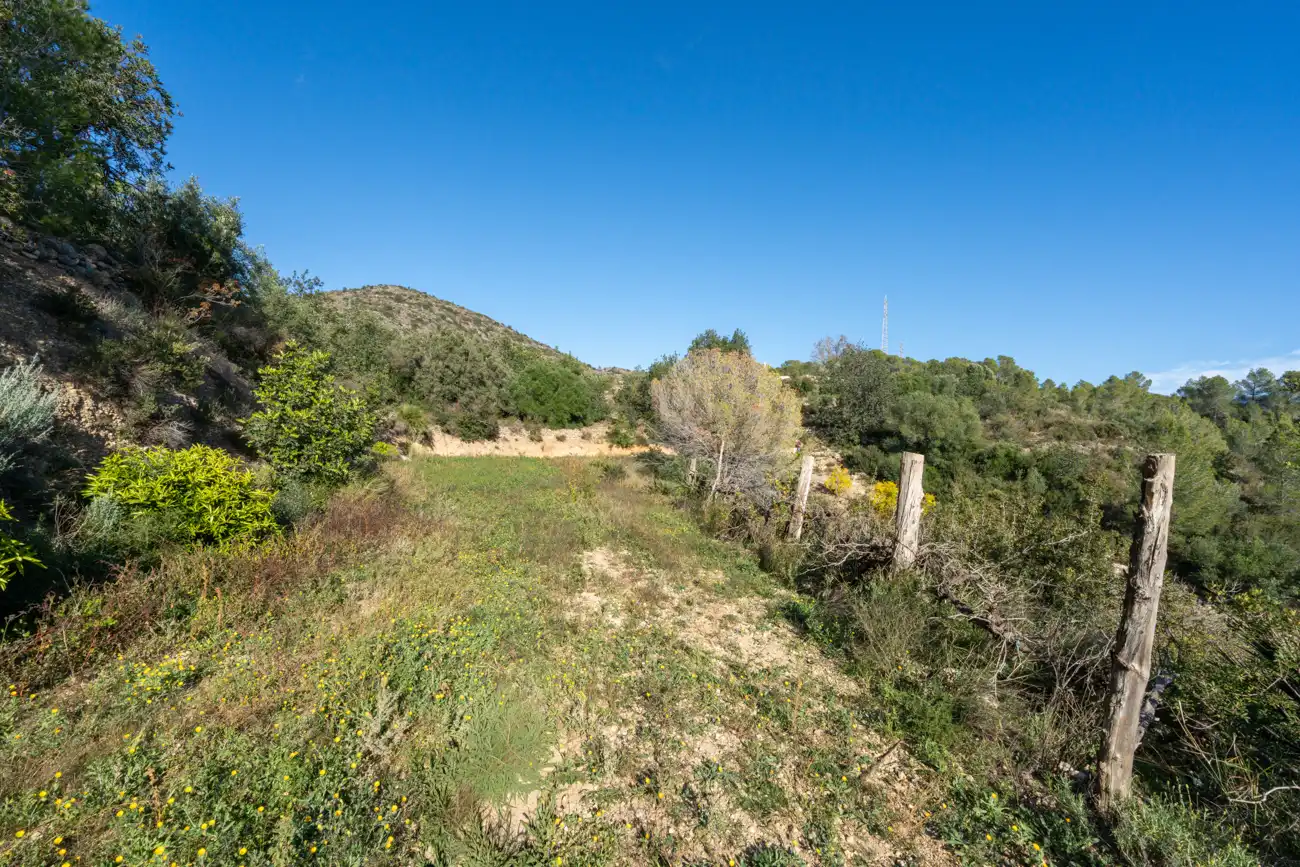 Terrain rustique à vendre à T-301 57, imagen 8