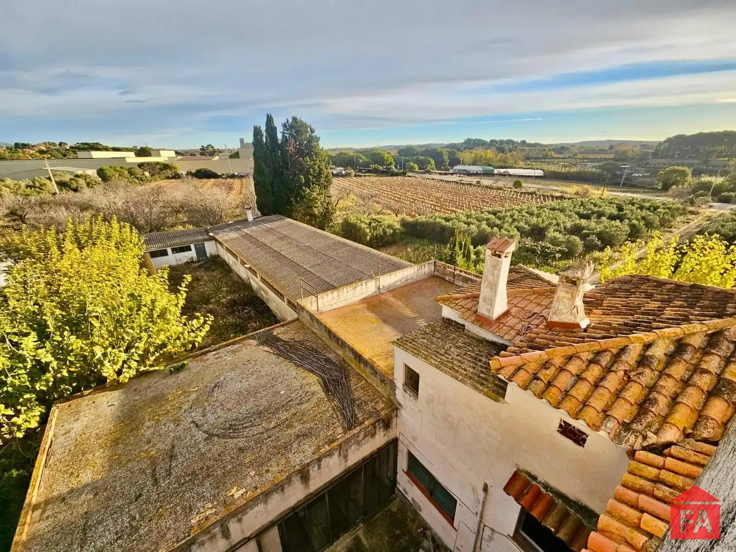 Vista exterior de Finca rústica en venta en Santa Oliva con Trastero y Piscina