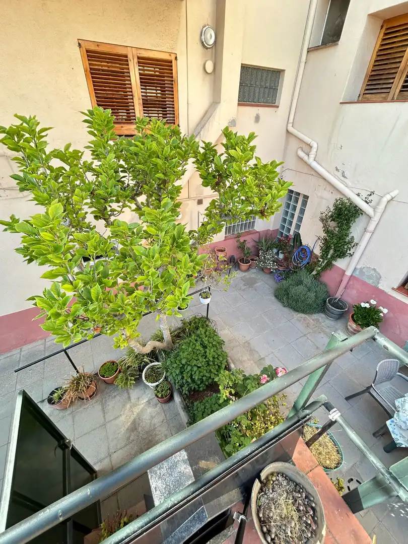 Terrace of Detached homes for sale in Riudarenes  with Heating, Private garden and Terrace
