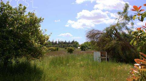 Foto 4 de Finca rústica en venda a Almonte ciudad, Huelva