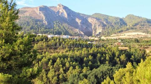 Photo 5 of House or chalet for sale in Solana, Penàguila, Alicante