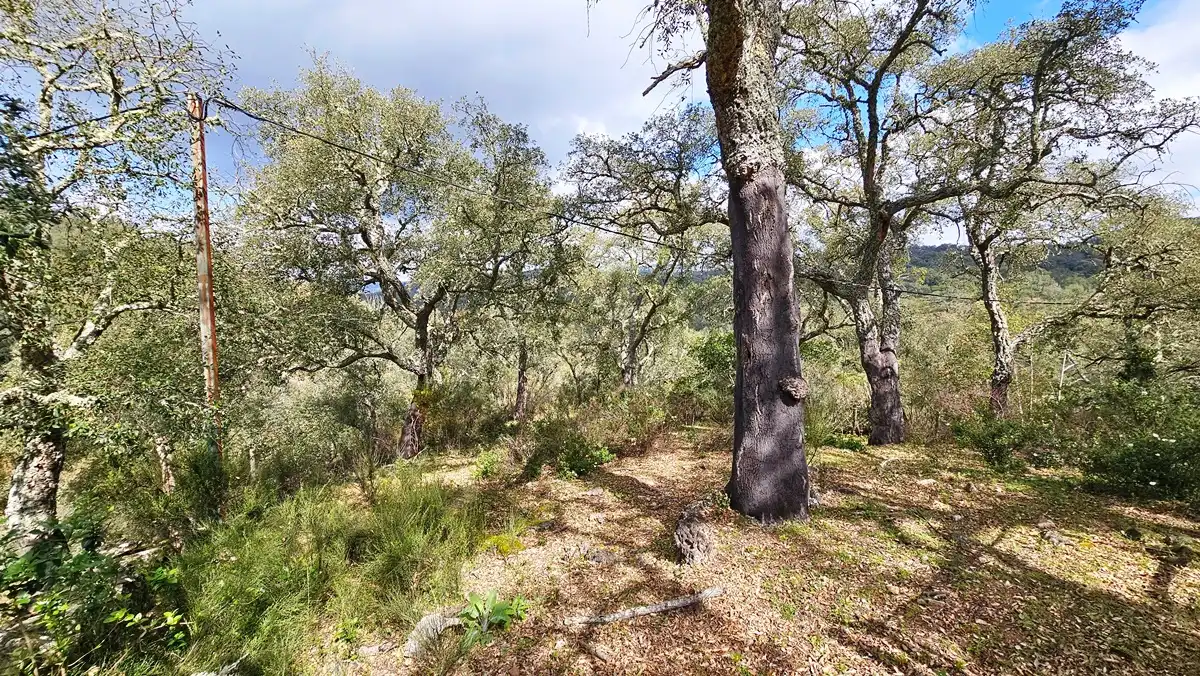 Finca rústica en venta en Cortegana con Jardín privado, Terraza y Piscina