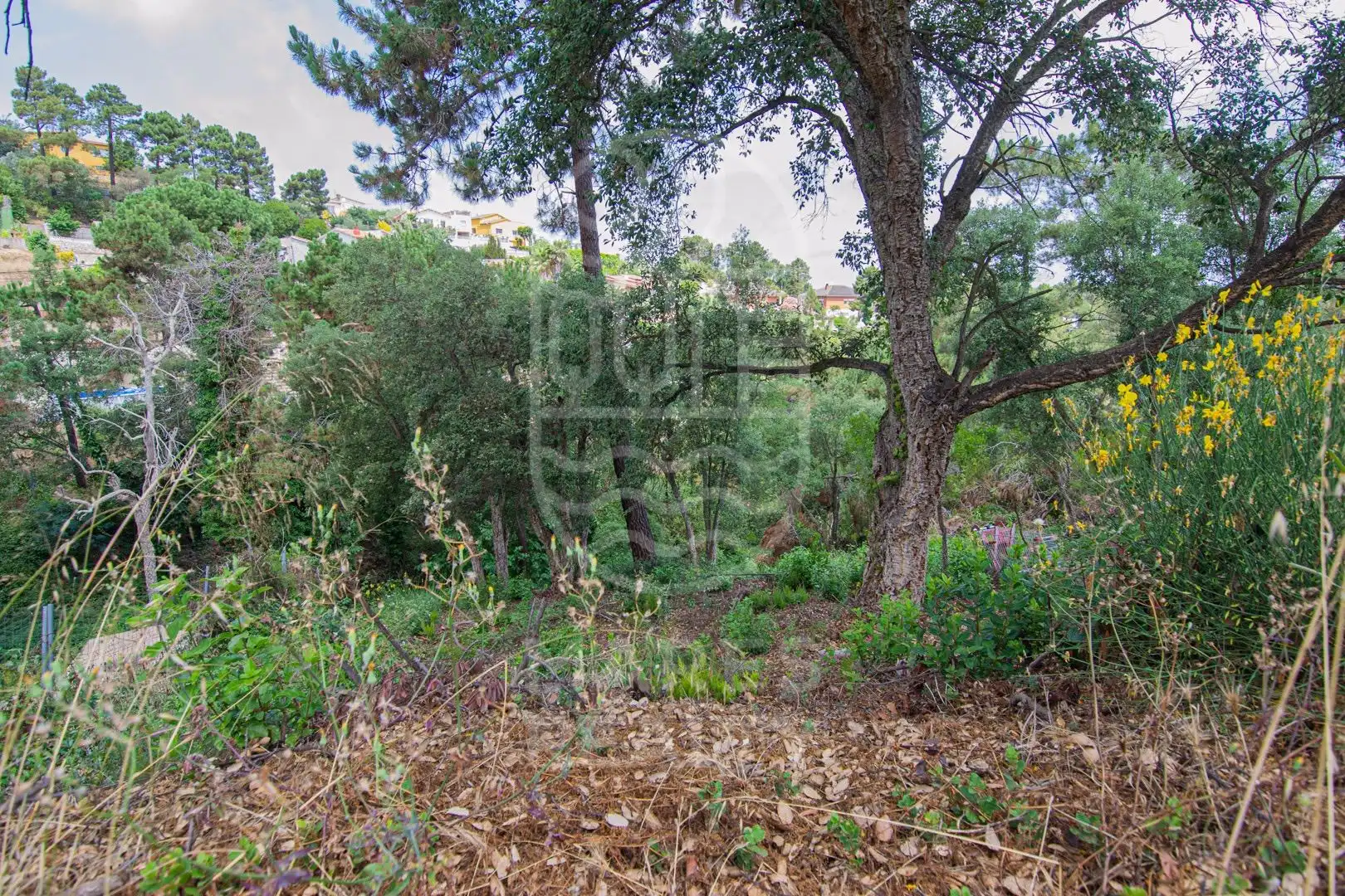 Grundstücke und Bauplätze zum Verkauf in Lloret Blau - La Creu de Lloret, imagen 9