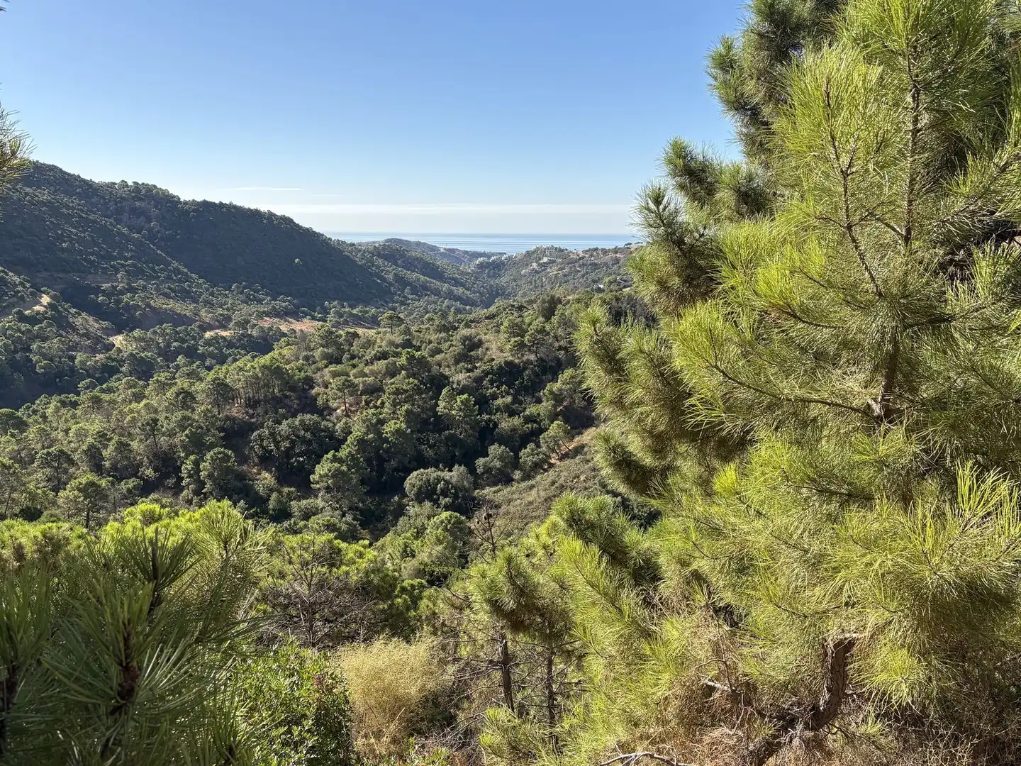 Terreno residencial en venta en Benahavís pueblo, imagen 11