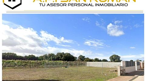 Immagine 1 dell'annuncio