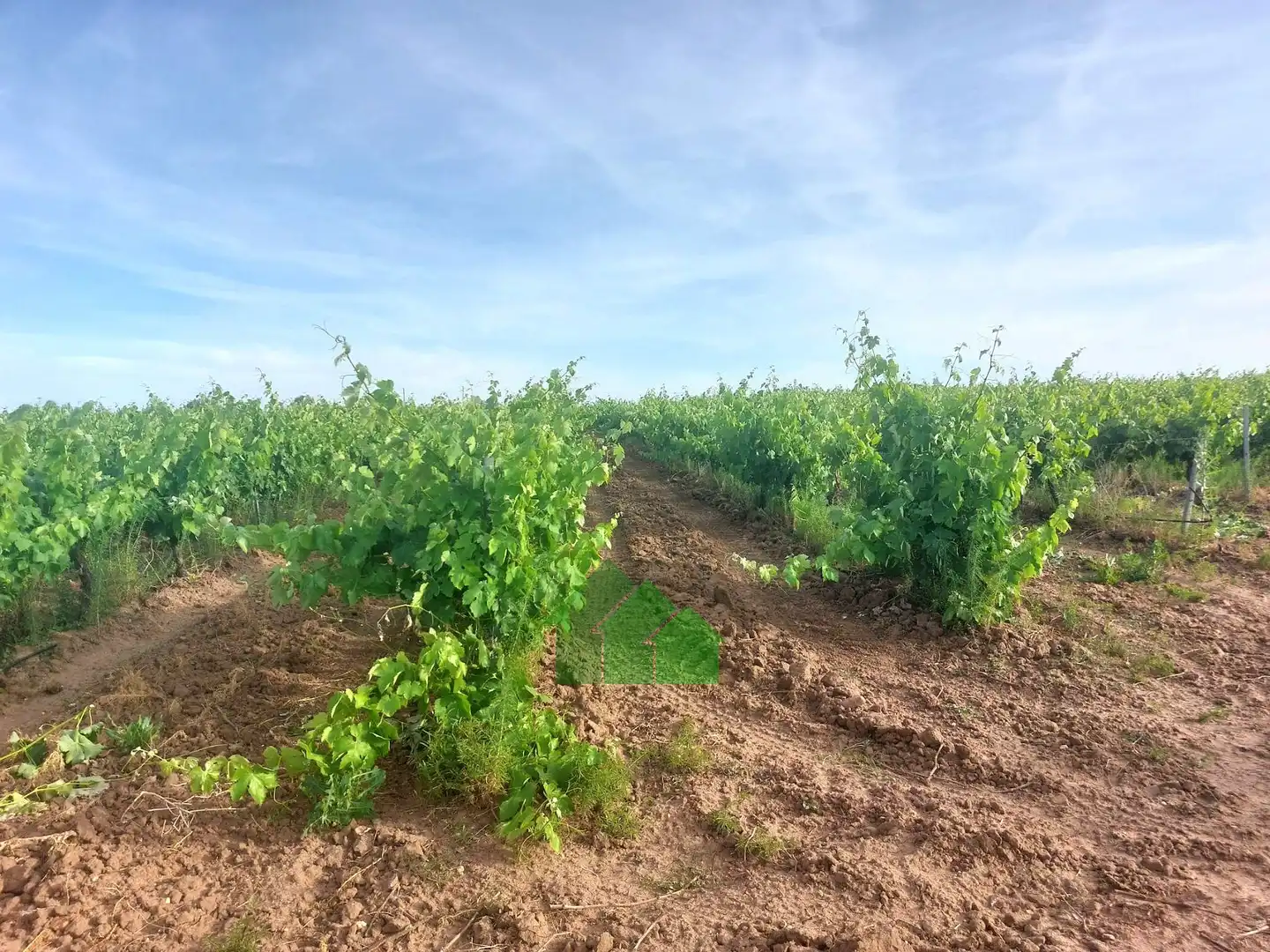 Terreni e lotti in vendita a Guadiana, imagen 6
