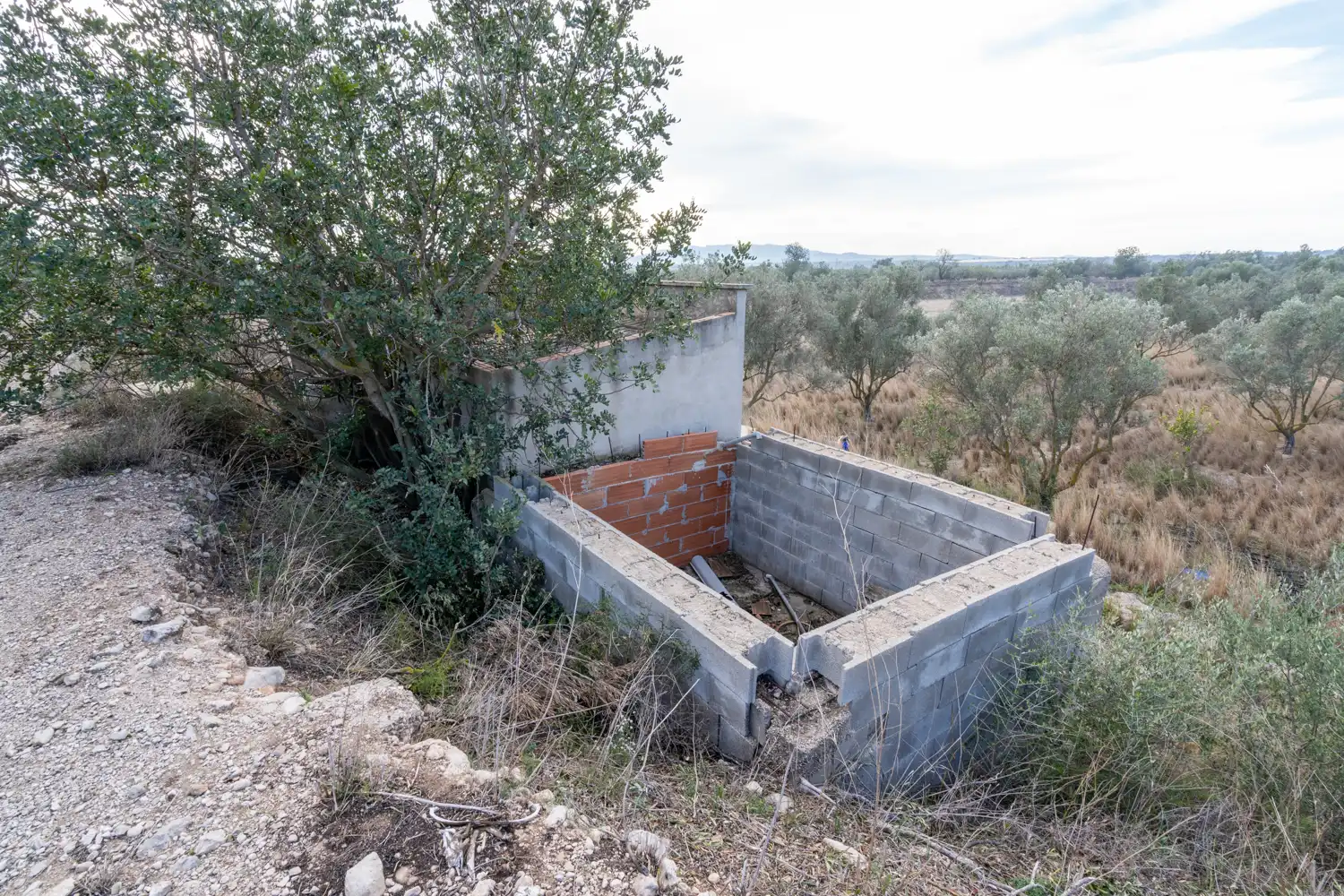 Terreno rustico in vendita a Roquetes, imagen 21