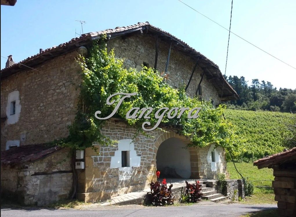 Finca rústica en venta en Larrabetzu con Jardín privado, Parquet y Trastero