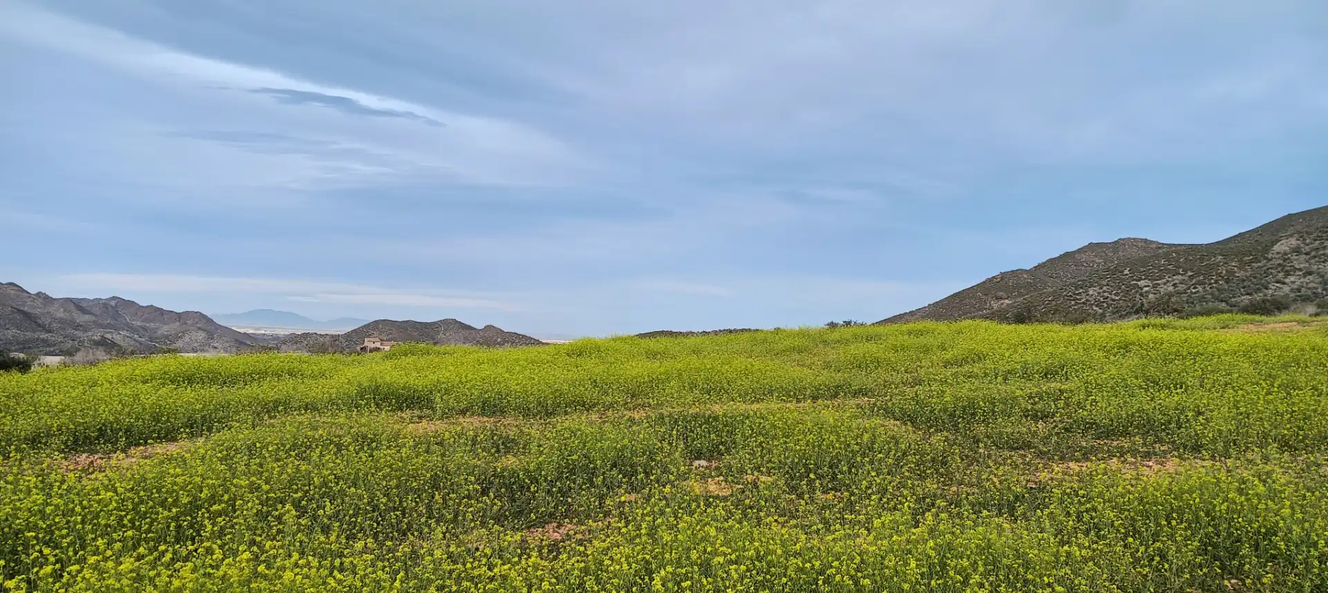 Finca rústica en venda en Cartagena