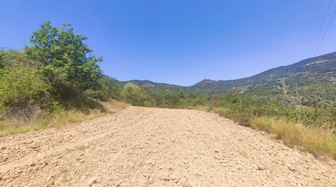 FINCA RUSTICA EN VENTA EN PANILLO, immagine 5