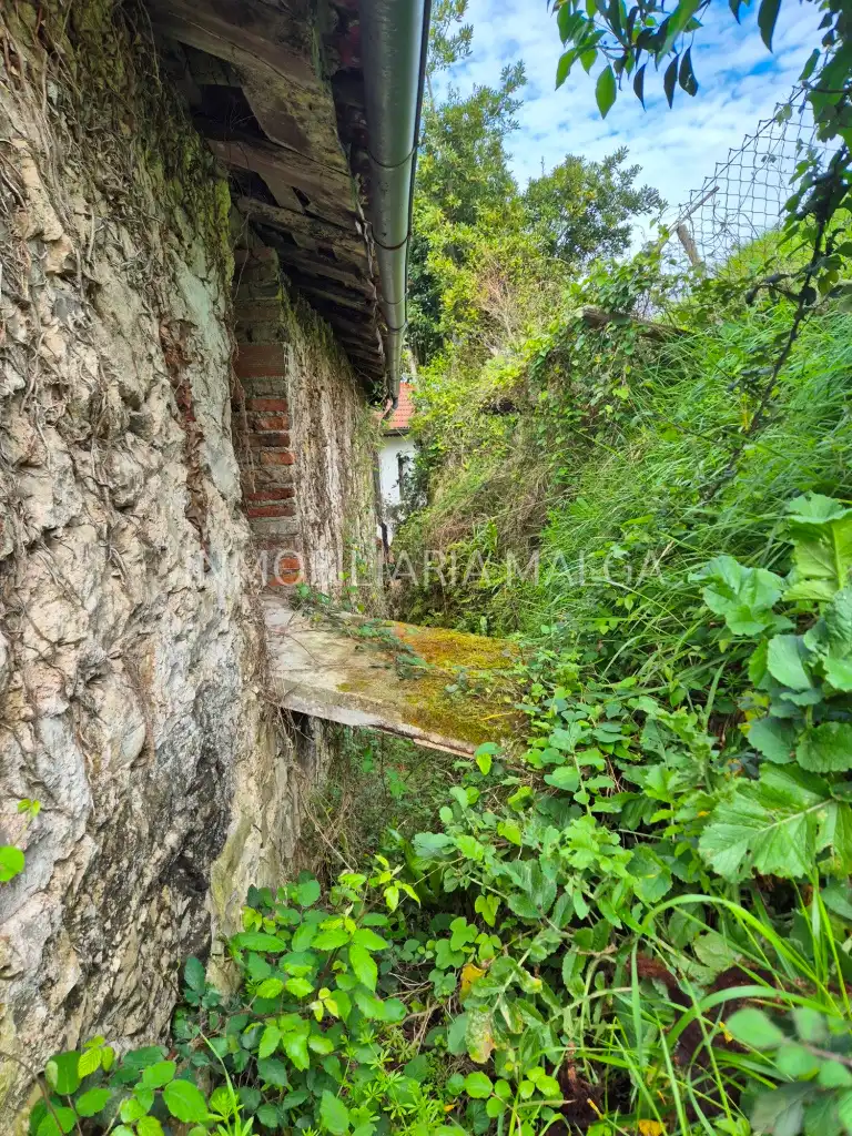 Casa o xalet en venda en Colunga amb Jardí privat