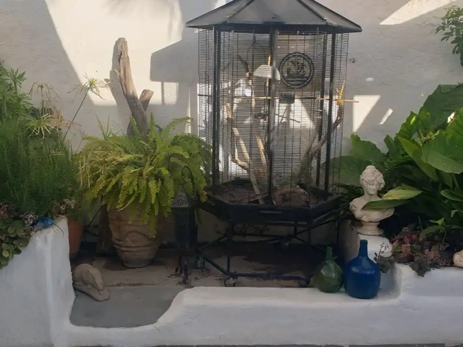 Casa amb jardí en venda a N-340 4, imagen 13