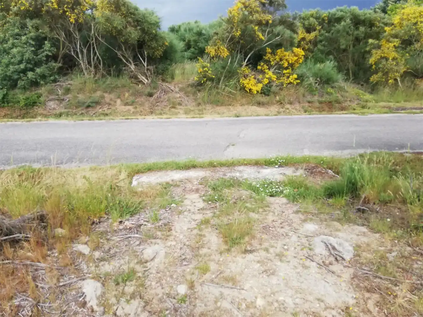 Finca rústica en venta en Os Blancos 