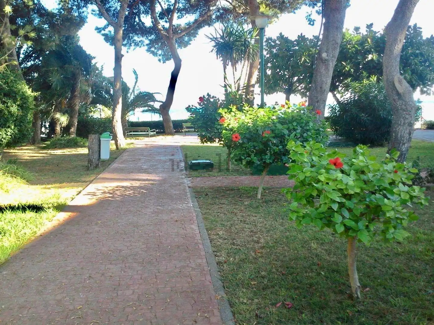 Garden of Houses for rent in San Pedro del Pinatar  with Terrace, Swimming Pool and Furnished
