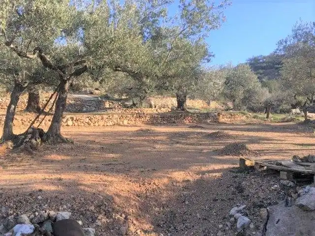 Casa o xalet en venda en Tortosa