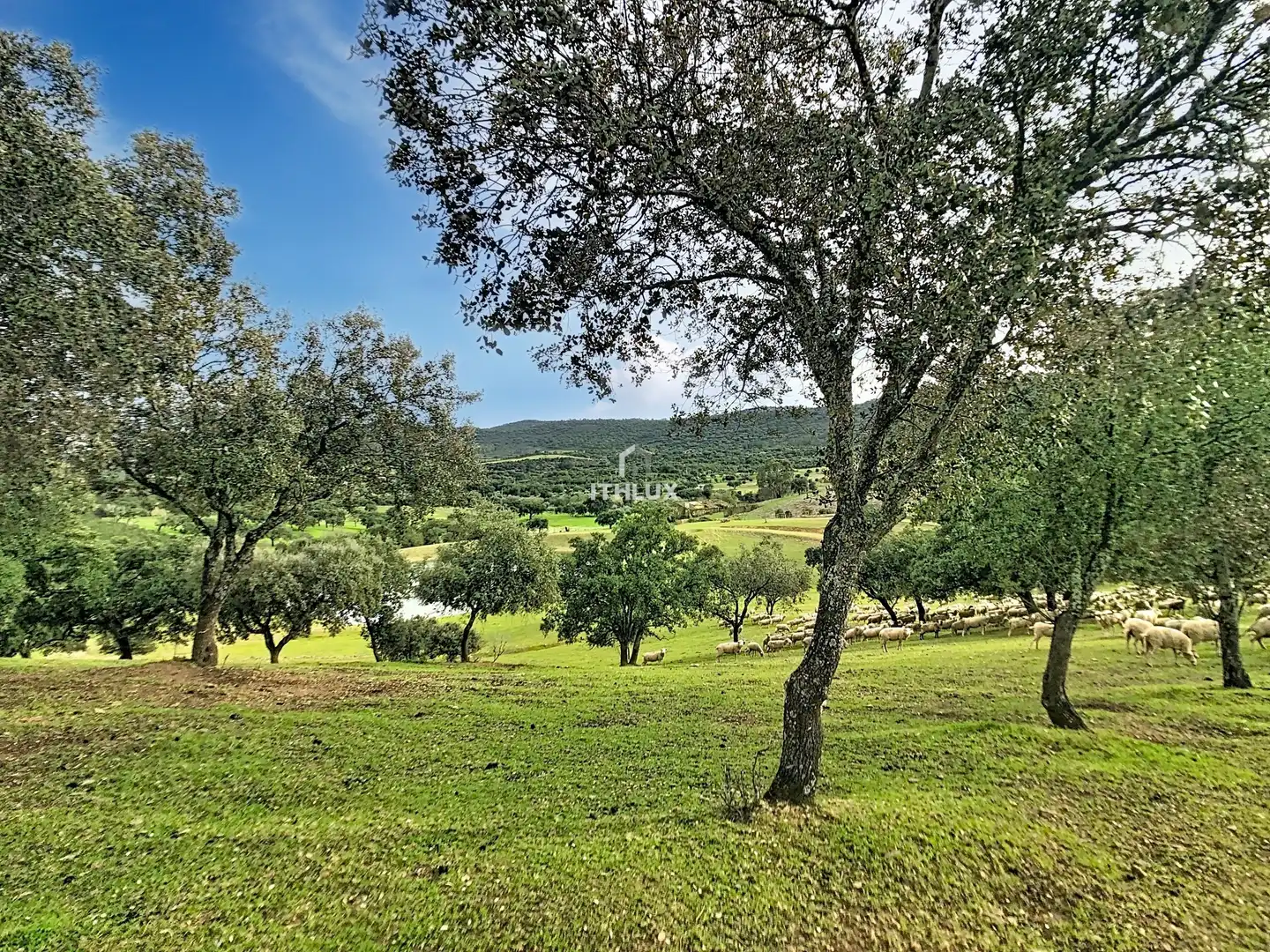 Finca rústica en venda en La Codosera