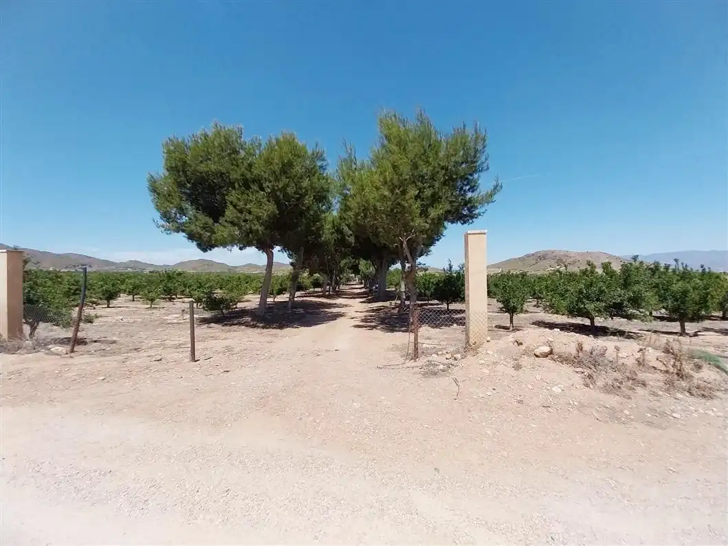 Casa amb jardí en venda a 30334 1, imagen 39