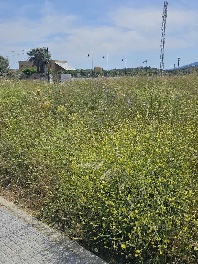 Terreno residenziale in vendita a Coín, imagen 10