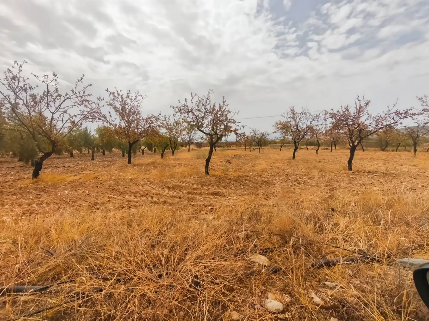 Rustikales Grundstück zum Verkauf in Uleila del Campo, imagen 9