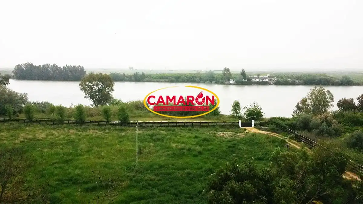 Terreni e lotti in vendita a La Puebla del Río, imagen 2