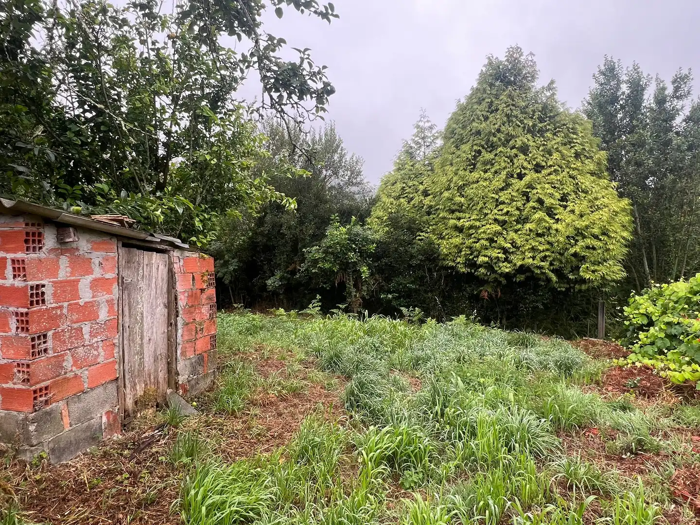 House with garden for sale in San Sadurniño, imagen 9