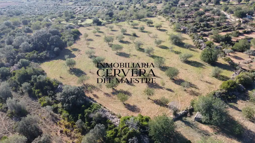 Terreno rustico in vendita a Cervera del Maestre, imagen 19