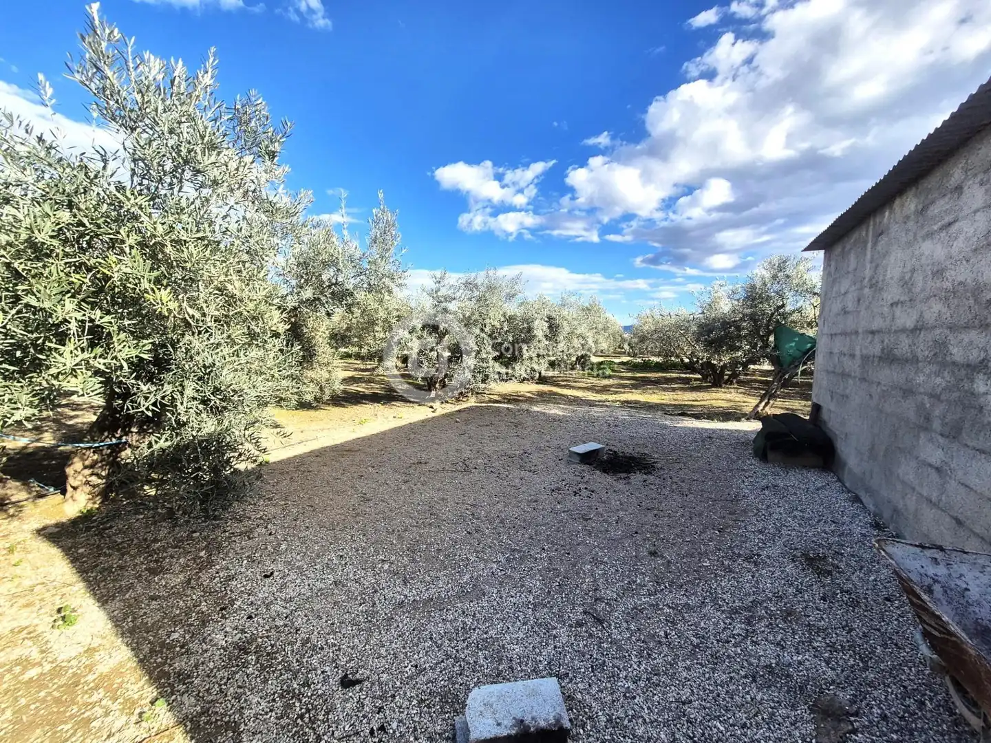 Finca rústica en venta en Lorca con Jardín privado